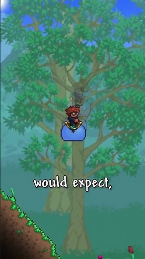 The Best Mount In Terraria. #terraria