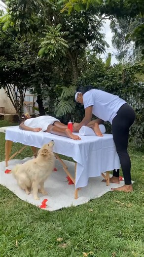 Seer Nairobi on Instagram: "🌼🌴🪻🌺🌹🪴🍃🪻24-hour services Offer ksh 3,500 full body massage with free sauna room treatments. Time 1 hour 45 minutes ▪️Seer Westlands whatsApp 0742603065 Call 0769035827 📍 Western height plaza OPEN 24 HOURS MON-SUN (NEXT to Sarit centre along Karuna Road,ground floor ,shop 11) ▪️Seer Kilimani 0727 792071 📍Applewood arcade - Ngong road. (Opposite green house) ground floor shop 3 ▪️Seer Medispa westlands 0742603065 📍 Western height plaza ▪️Seer Ruaka 0772470289