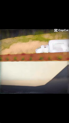 🏢 First impressions matter. For business owners and property managers in Birmingham, maintaining clean landscaping is key. Our premium pine straw services help your property: ✔️ Look well-maintained ✔️ Stand out professionally ✔️ Stay polished year-round Reliable local service you can count on. 📩 Schedule your installation today. 📞 Call or text (205) 732-0170 🌐 luckiespinestraw.com #luckyspinestraw #luckyspinestraw #CommercialPropertyCare #summercurbappeal #alabamabusiness #ProfessionalLands