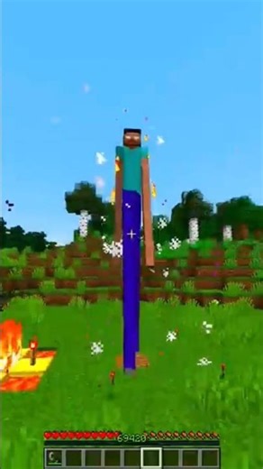 Herobrine Summoning 😱 | Reality vs Duplicate | #trending #gaming #minecraft #shorts #viral