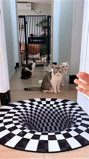 اختبار ذكاء القطط بالحفرة الوهمية! 🐱🧠
