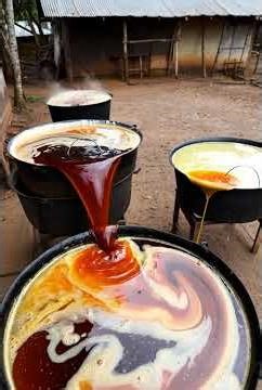 Clarification & Purification· Purpose: To separate pure red palm oil from water, dirt, and Action:
