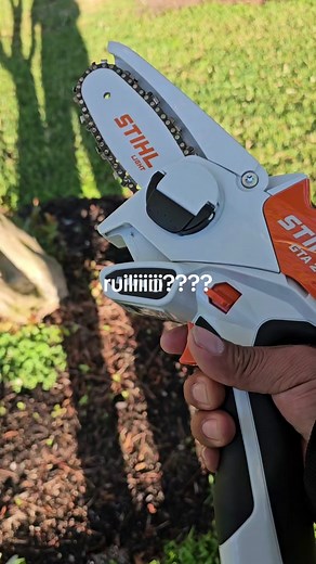 visa trees on TikTok