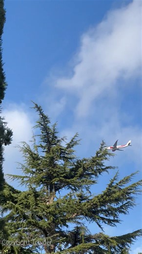 36K views · 577 reactions | 2e flight test aujourd'hui Toulouse A330 NEO- reg : 7T-VJD Merci à Tchider | Algerian spotters | Facebook