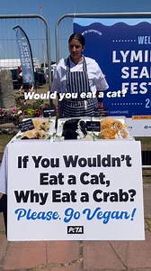 240K views · 2.7K reactions | Would you eat a cat? Then why eat a crab?At the Lymington Seafood Festival, PETA's striking 'kittenmonger' display offered 'fresh local Siamese' and 'kitten cakes' to highlight the hypocrisy of speciesism.Crabs may look different, but they feel pain, protect their families, and suffer when boiled alive - just like cats would.It's time to see all animals as individuals. Please, don't eat them. Go vegan. | PETA UK | Facebook