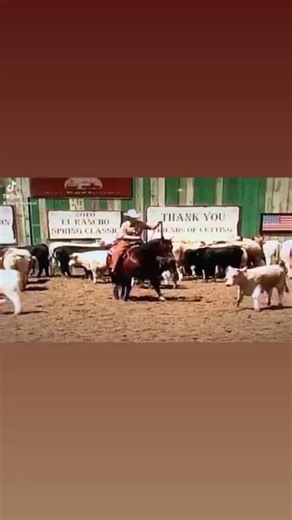 @tomcatchex | Jalinda Covey