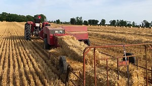 2.6K views · 57 reactions | ￼You just can’t drive past this￼…. We spotted this on the way home from swimming. Wow. Just absolutely gorgeous. Thank you Larry Cusack for letting us watch you operate your 1970 at Massey Ferguson baler driven by an immaculate 165 Massey￼! #squarebales #masseyferguson #farmnostalgia | Farm Wardrobe | Facebook