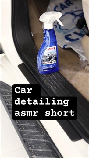 Sonax Interior Cleaner Review & How-To Use for Best Results