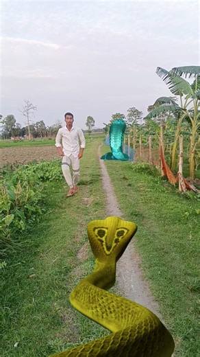 jai maa kani kali hare ram nam baba bachalo plz 100 million views kardo 🙏🙏 #trending #viral