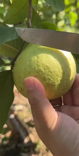 Explore the United States: An Insider's Guide