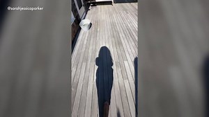 Sarah Jessica Parker's lowkey Hamptons hideaway is nothing like you'd imagine