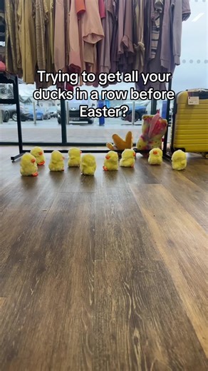 Quack bring us in your donations quack quack support cancer research uk quack come to Speke retail park quack quack #fyp #cruk #charityshop #xyz #thrift