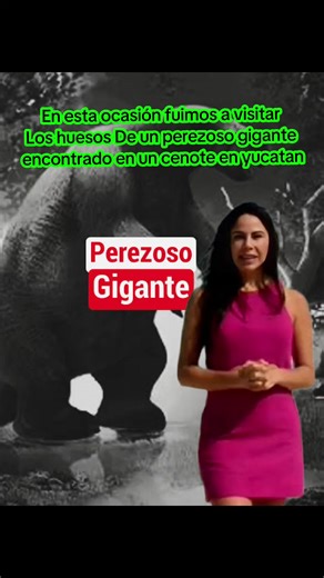 Explorando los Huesos del Perezoso Gigante en Yucatán