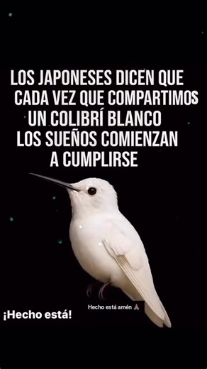 yosoyleydeatracción on Instagram: "UNA IMAGINACIÓN ENTRENADA PRODUCE EFECTOS MARAVILLOSOS, VEA COMO: La mejor forma de obtener respuesta de su mente subconsciente es entrenando o disciplinando adecuadamente su imaginación. “Todo lo que pidiereis en oración, creyendo, lo recibiréis”. Creer es aceptar algo como una verdad o sentir que lo es. La mente subconsciente es el constructor del cuerpo y Controla todas las funciones vitales de éste. Sosteniendo esta disposición, sintiéndola un hecho, experi