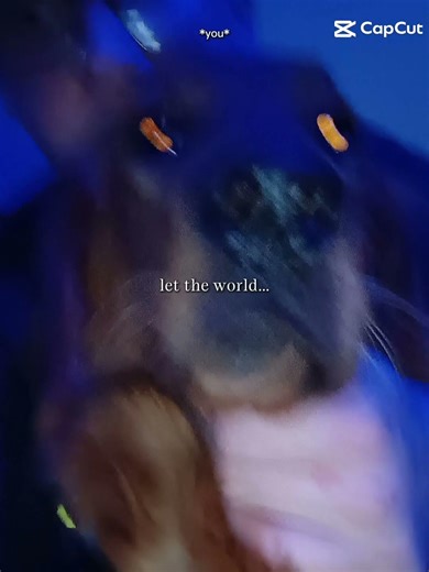 ( my dog ) give credit to song maker @ChrisGreyMusic