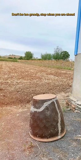 Don't be too greedy, stop when you are ahead #viralvideo2024 #comedyvideo2014 #viralcomedy2024 #viralreelsfacebook #viralpost2024シ #viralreelsシ #viralvideoシ #viralrails2024 #yreelsvideo #funnyreelsvideo | HAMON create