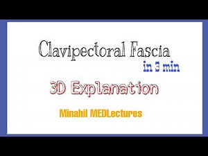 3D explanation of Clavipectoral Fascia | Structures piercing Clavipectoral Fascia | Complete lecture