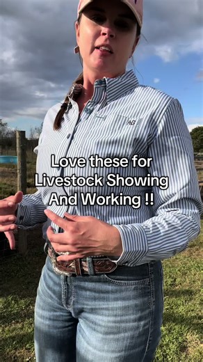 Love these shirts for livestock working and livestock showing! #livestock #ranching #cows #livestockshow