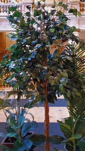 Twilight Movies vs Books: A Comparison