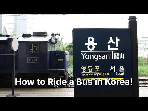 How to Ride a Bus in Korea: A Step-by-Step Guide for Foreigners 🚌