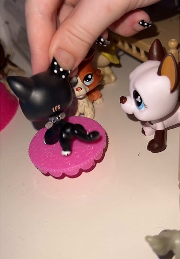 update on megan and brandon tomorrow #lps #littlestpetshop #fyp #foryou #lpsskit