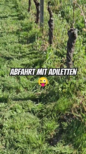 Abfahrt#viral#fyp#outdoor#parcours#techno#abfahrt#running