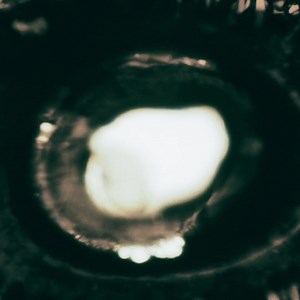 Attention Filmmakers: Save 80% on Selected Sound FX! 🎬⏰ | Ghosthack Audio