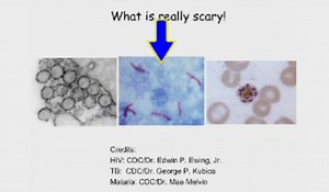 VIDEO: Basic Immunology: Nuts and Bolts of the Immune System