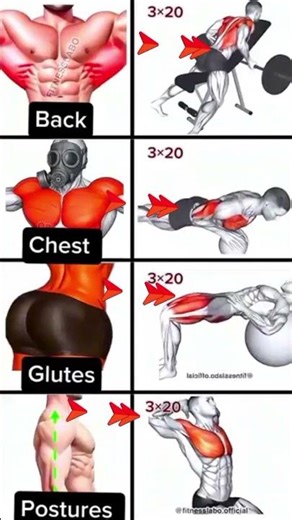 🎯FIX YOUR POSTURE & BUILD MUSCLE FAST | BACK & CHEST DUMBBELL WORKOUT #SHORTS #fitfam