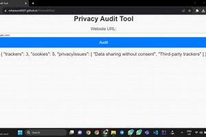 Privacy Audit & Recommendations Tool