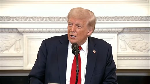 'That's what happened in 1929': Trump gets lost in his own world, says voting against him will spark another Great Depression