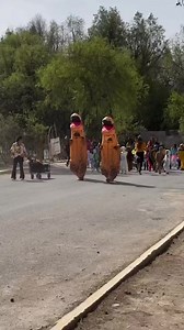 11K views · 34 reactions |  ¡Paw Patrol interrumpe desfile infantil! No eran parte del evento, pero estos canes decidieron dar un espectáculo extra.  #Humor #Video #viral #MNGYM | Meganoticias Guaymas | Facebook