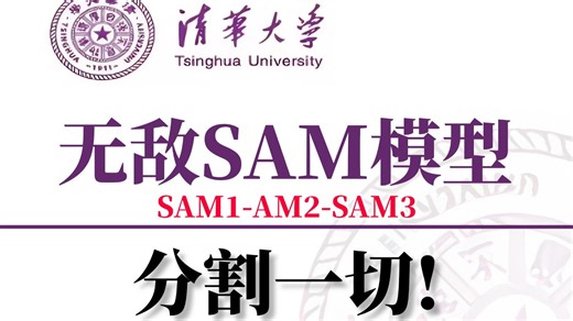 【2026最强SAM模型】分割一切！Segment Anything Model 最全解读！手把手带你2小时学透SAM模型，从环境配置到本地部署、推理！ -AI