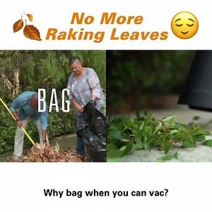 The Worx Trivac is more than a leaf blower... it’s a mind blower 🌬️🍂This 3-in-1 blower, yard vac and mulcher helps you care for your lawn year round! | WORX Tools