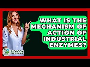 What Is The Mechanism Of Action Of Industrial Enzymes? - Biology For Everyone