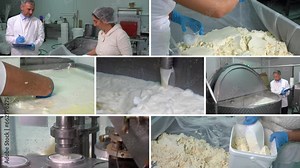 Dairy Processing Plant - Multi Screen Video. Dairy Plant Jobs. Milk Pasteurization in Milk Factory. Yoghurt and Cheese Production. Butter Manufacturing. Dairy Plant Food Safety.