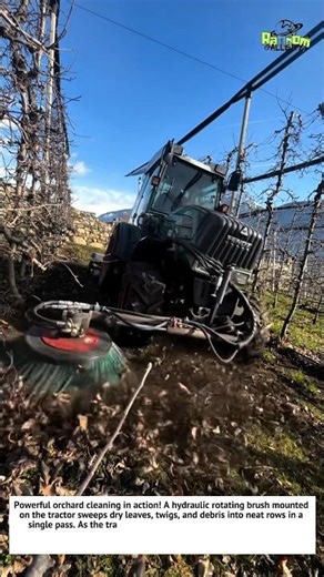 Extreme Orchard Cleaning Machine – Satisfying Tractor Brush Power! 🌳