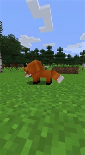 Curious Minecraft Fox Startles Itself Over a Dirt Block 😭🦊
