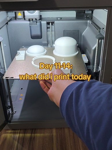 3D Printing Project: Day 11-14 Progress