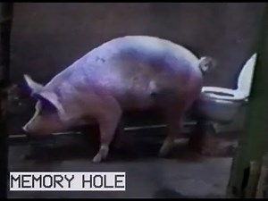 Memory Hole The Movie