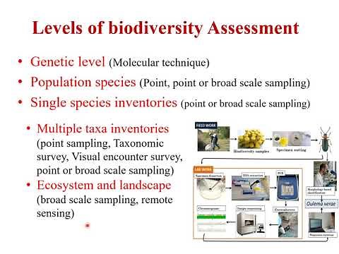 Biodiversity Monitoring Part-I (Methods for sampling Flora)
