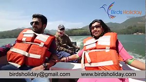 55K views · 328 reactions | Honeymoon in Munnar , 4 Star resort, 2 night 3 days kerala tour , Just for 8100 INR . 2 ngiht stay with breakfast and dinner , Candle light dinner , Flower bed, Fruit Basket , Munnar sight seeing , AC Sedan cab Cochin to Cochin Package . Birds Holiday Cochn 9961011199 birdsholiday@gmail.com www.birdsholiday.com | BirdsHoliday.com | Facebook