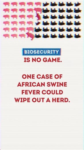 Biosecurity Is No Game. Protect Your Pigs From A Deadly Outbreak.