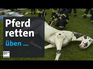 Horse in distress: Fire department trains large animal rescue | BR24