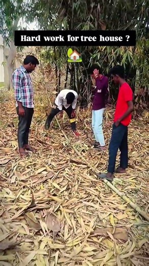 #hardwork for tree house 🏡 final work comming soon .❤️‍🩹 #instagram #unfiltered__satish #commingsoon