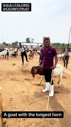 Exploring Africa's Largest Goat Farm