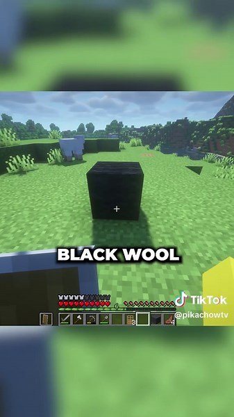 How to Place a Wooden Oak Door on Black Wool in Minecraft