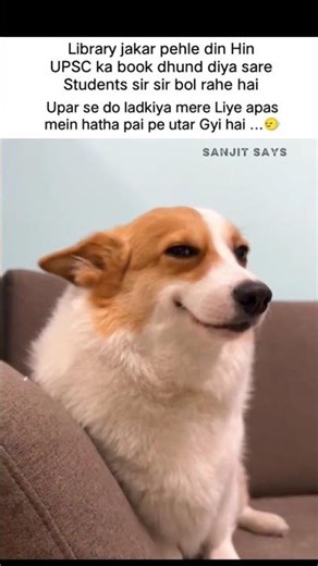 Library 😅 #memes #popular #viral #funnymemes #tweetreels #library #explore