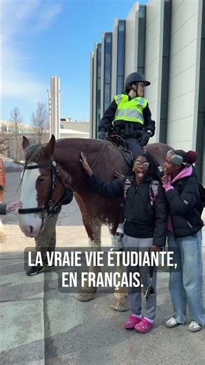 La vie étudiante francophone à La Cité 💚