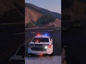 This grammar police mod changes everything… #shorts #lspdfr